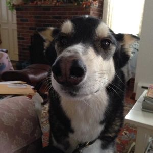 Meet your Posher, Kate